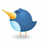 Twitter bird illustration, photo and illustration: Matt Hamm/ flickr